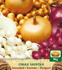 Zmes sadzačiek - Allium cepa - 3 odrody cibuliek - 150 g