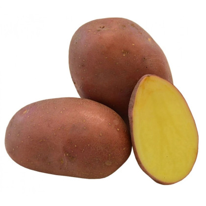 Sadbové zemiaky Red Anna - Solanum tuberosum - červené poloskoré - 5 kg