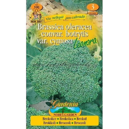 Broklica Leonora - Brassica oleracea - semiačka - 100 ks