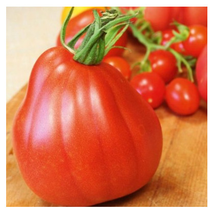 Kolíková paradajka Coure di Bue - Solanum lycopersicum - Predaj semien rajčiaka - 10 ks