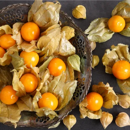 Machovka peruánska - Physalis edulis - semiačka - 10 ks