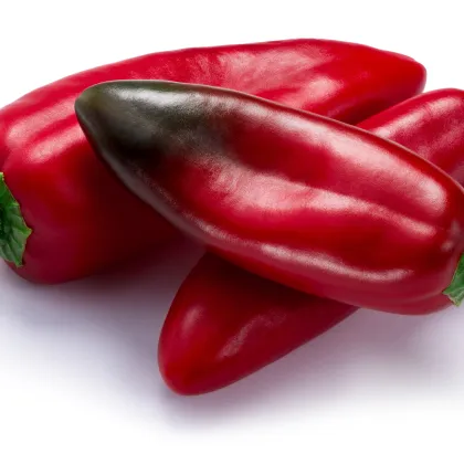 Chilli Anaheim - Capsicum annuum - predaj semien - 6 ks