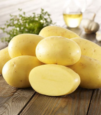 Sadbové zemiaky Agria - Solanum tuberosum - Kiepenkerl - 10 ks