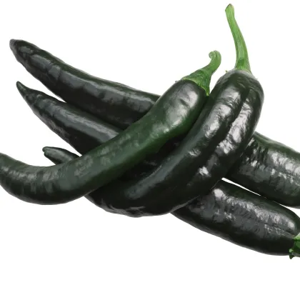 Chilli Pasilla Bajio - Capsicum annuum - predaj semien - 7 ks