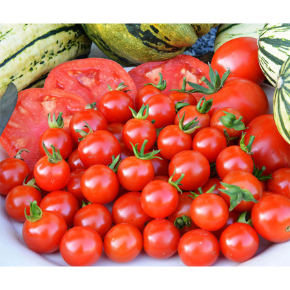 Paradajka Sweet Aperitif - kolíková odroda - Solanum lycopersicum - Semená rajčiaka - 6 ks