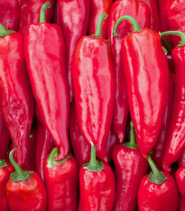 Bio Paprika Korosko - Capsicum annuum - predaj bio osiva - 6 ks