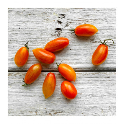 BIO Paradajka Blush - Solanum lycopersicum - predaj bio semien - 6 ks