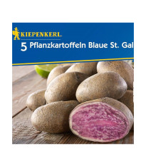 Sadbové zemiaky Blaue St. Galler - Solanum tuberosum - Kiepenkerl - 5 ks