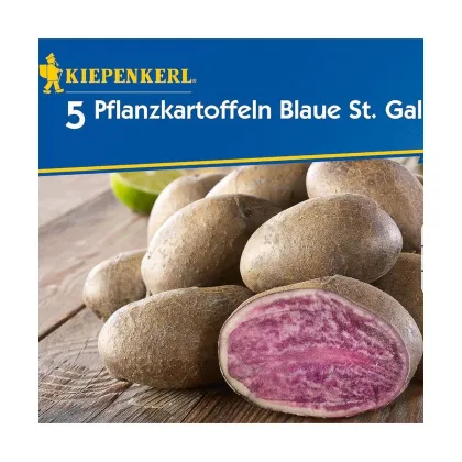 Sadbové zemiaky Blaue St. Galler - Solanum tuberosum - Kiepenkerl - 5 ks