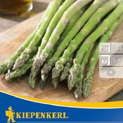 Špargľa Boonlim - Asparagus officinalis - voľnokorenné sadenice špargle - 1 ks