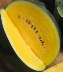 Melón Jánošík - Citrullus lanatus - predaj semien - 6 ks