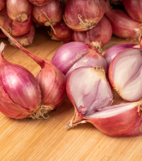 Cibuľa šalotka červená Sante - Allium Cepa - predaj cibule - 500 g