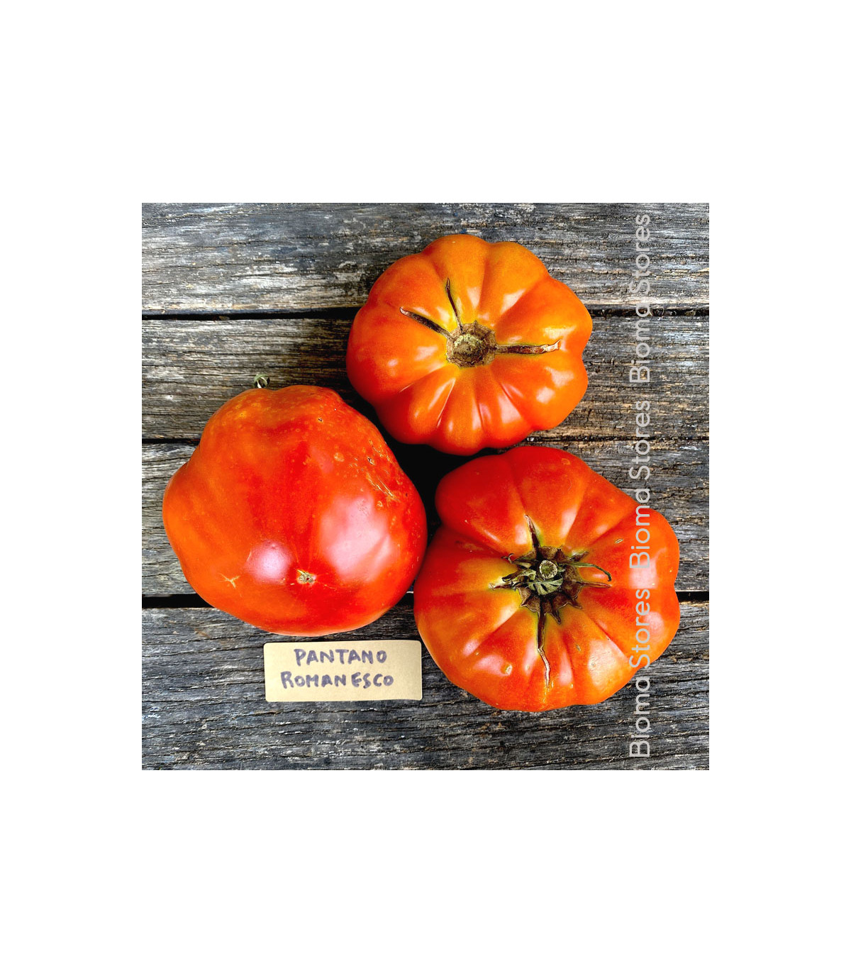 Paradajka Pantano Romanesco - Solanum lycopersicum - predaj semien - 7 ks