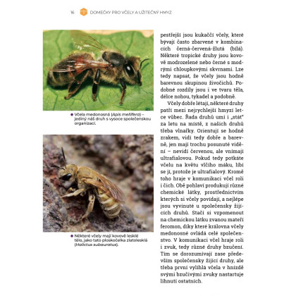 Domčeky pre včely a užitočný hmyz - Grada - predaj kníh - 1 ks