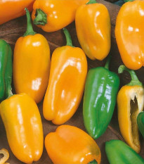 Paprika ročná Hamík - Capsicum annuum - predaj semien - 20 ks