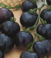 Paradajka tyčková čierna Blackball - Solanum lycopersicum - predaj semien - 20 ks