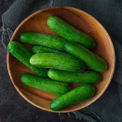 Uhorka šalátová Baby F1 - Cucumis sativus - predaj semien - 10 ks