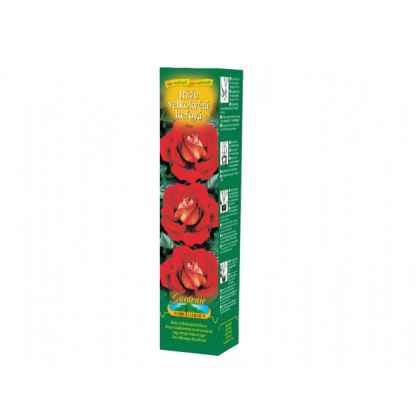 Ruža veľkokvetá kríčková červenožltá - Rosa - voľnokorenné sadeničky ruží - 1 ks