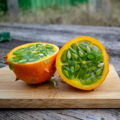 BIO Kiwano - Cucumis metuliferus - predaj bio semien - 7 ks