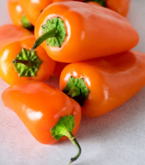 Paprika Snacking Orange - Capsicum annuum - predaj semien - 5 ks ​