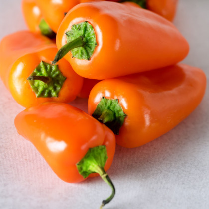 Paprika Snacking Orange - Capsicum annuum - predaj semien - 5 ks ​