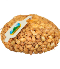 Cibuľa sadzačka Všetana - Allium cepa - predaj cibuliek - 500 g