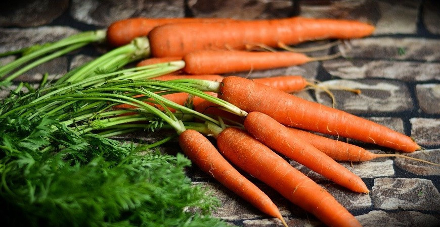 Aký je rozdiel medzi karotkou a neskorou mrkvou?