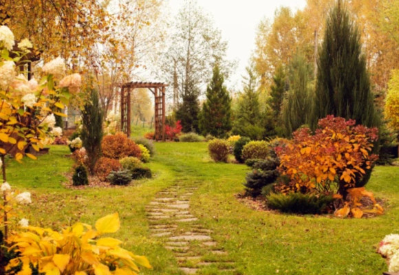 November – už máte záhradu pripravenú na zimu?